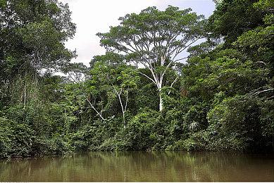 男性被边缘化？最近两年公布的3A大作都有女主角